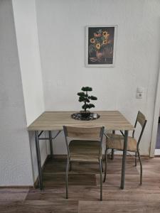 a wooden table and chair with a bonsai tree on it at Gästezimmer Fischer in Ellrich