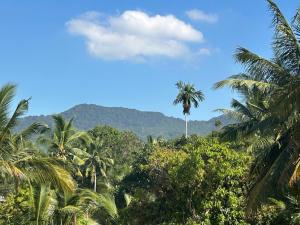 a palm tree in the jungle with mountains in the background at Aqua Suites in Wok Tum +121 photos