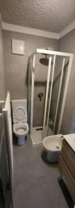 a bathroom with a toilet and a sink at Appartamento carciato dimaro in Dimaro