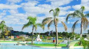 een zwembad met palmbomen in een park bij Departamentos Rimasha in Federación