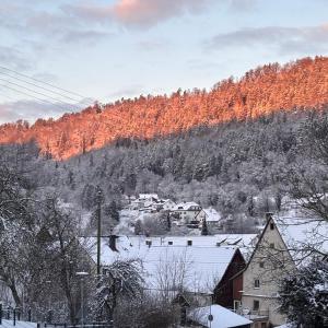 a snow covered village with a mountain in the background at Waldblick Glatt in Sulz am Neckar