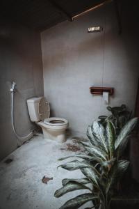 een vieze badkamer met een toilet en een plant bij Kurni's Cabin in Sapit
