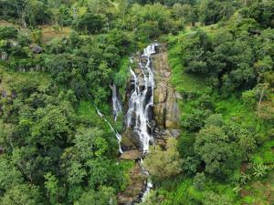 an aerial view of a waterfall in a forest at Lush In Ella in Ella