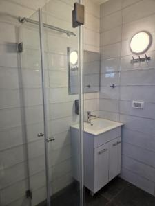 een badkamer met een wastafel en een douche bij פסטרנק אירוח יער אודם in Odem