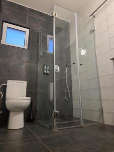 een badkamer met een glazen douche met toilet bij פסטרנק אירוח יער אודם in Odem