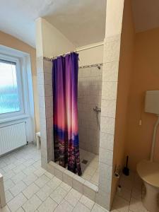 a bathroom with a shower with a purple shower curtain at Apartmány Somora in Doksy