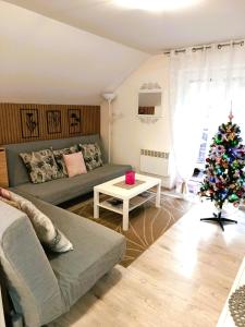 een woonkamer met een kerstboom en een bank bij Apartmán Romanna in Terchová