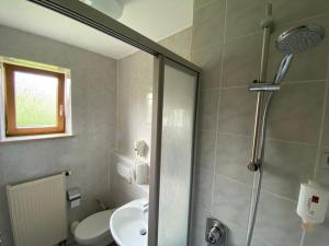 a bathroom with a shower and a toilet and a sink at Hotel zur Ulme in Anzing +3 photos