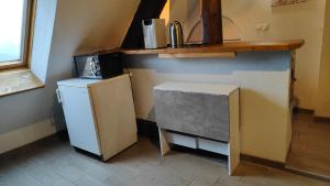 een kleine keuken met een koelkast en een magnetron bij Appartement château Uriage-Chamrousse in Saint-Martin-dʼUriage