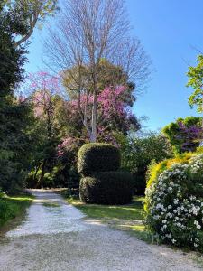 een wandelpad met struiken en een boom in een park bij Le Gîte Du Parc avec parking vieux port et plage au calme in La Rochelle
