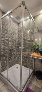 a shower with a glass enclosure in a bathroom at APART ALVARADO microcentro in Salta
