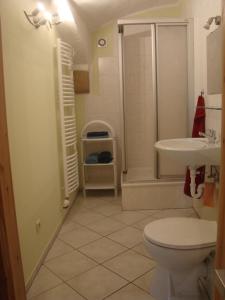 een badkamer met toilet, douche en wastafel bij Dobrahof - Wohnung 1 & 2 in Dobra +16 foto's