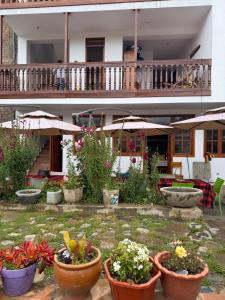 a group of potted plants in front of a building at Alonso, Fogón & Posada in Chacas