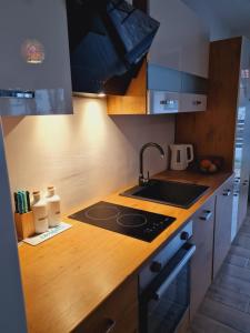 a kitchen with a sink and a stove top oven at OLD TOWN ROAD in Karlovac +13 photos