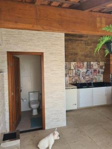 a white dog laying in a bathroom with a toilet at House in Iriri in Anchieta