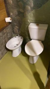 a bathroom with a toilet and a sink at Cabaña Mirador del Valle in Lago Puelo +28 photos