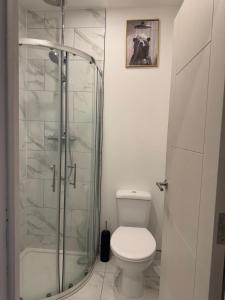a bathroom with a toilet and a glass shower at Brigstock 4 in Thornton Heath