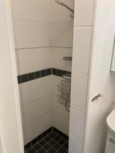 een kleine badkamer met douche en wastafel bij Lugnt och centralt in Strömstad
