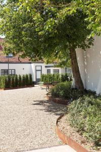 a tree sitting next to a white building at B&B De Vrijboom in Kruisem