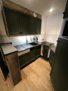 a small kitchen with green cabinets and a sink at Temples Du Soleil Tikal Appartements VTI in Val Thorens +7 photos
