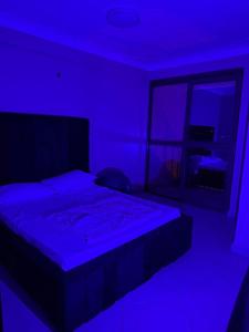 a bedroom with a bed with a blue light at Nordik Hotel in Nkumba