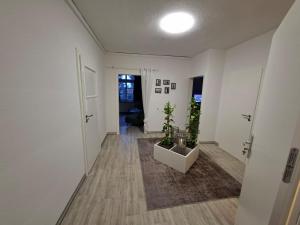 a hallway with two potted plants in a room at FeWo im Herzen Tarnows in Tarnow