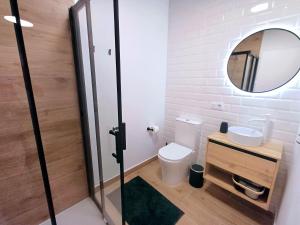 a bathroom with a toilet and a sink and a mirror at Guesthouse El arca de Noé in Pozo Izquierdo