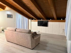 a couch sitting in a living room with a tv at La Dimora Certosina in Padula