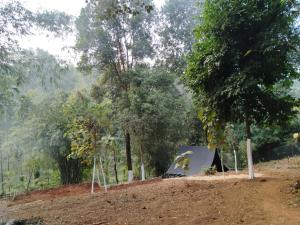 a tent on a dirt field next to trees at Mur Farm House in Sonāpur +5 photos