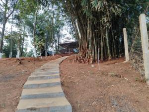 a path in the middle of a forest with trees at Mur Farm House in Sonāpur