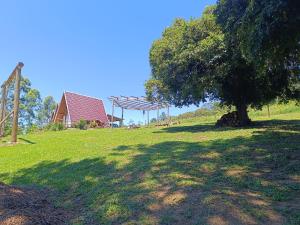 a tree in a field next to a barn at CascataDiamantePousada in Laurentino