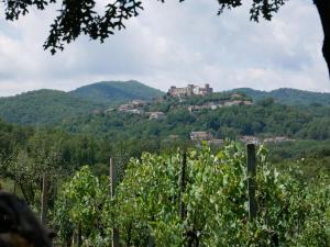 a castle on top of a hill behind a vineyard at CASA DEL PAVONE - Capometa in Marzano