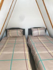 twee bedden naast elkaar in een tent bij ViP ROOMS PRENOCISTE 026 in Smederevo