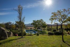 vista su un giardino con piscina di Villa Aemilius Hotel boutique Mérida a Mérida