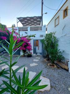 a white house with pink flowers in front of it at Calliope#2 in Skala