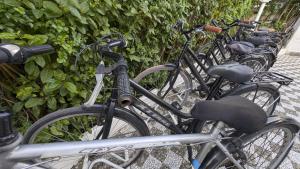 a row of bikes parked next to each other at Casa vacanze Lu Salentu in Torre Lapillo