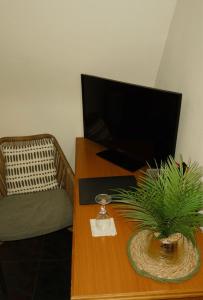 ein Wohnzimmer mit Fernseher und einem Tisch mit einer Pflanze in der Unterkunft Fünf A in Fürth