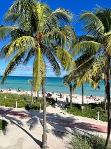 a group of palm trees on a beach with the ocean at Castle B6 in Miami Beach