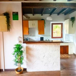 una cucina con bancone e pianta in vaso di Casa Rural Ribota! a Ribota