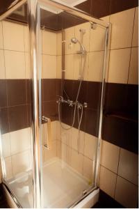 a shower with a glass door in a bathroom at Transylvanian Nest in Cristian