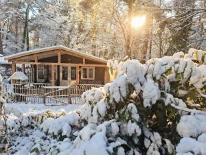 chalet bosrust nr 38 v zimě