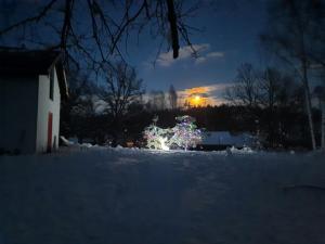 a christmas tree with lights in the snow at night at Chata z Kraja in Józefów