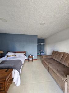 a living room with a couch and a bed at Encantos do vale Teresópolis in Teresópolis