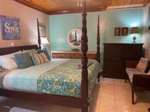 a bedroom with a canopy bed and a mirror at Albury's Haven in Nassau