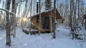 a cabin in the woods in the snow at Paunküla Nature Villa in Silmsi +14 photos