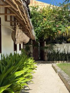 a courtyard of a house with plants and a building at Mlango Paje House II in Paje