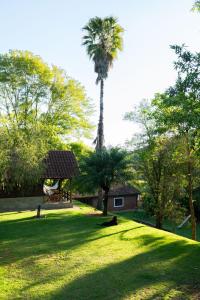 a palm tree in the middle of a grass field at Pousada Ypê das Montanhas in Monte Alegre do Sul