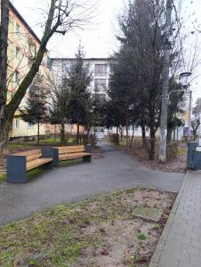 two benches in a park with a building in the background at Apartament Karina in Baia Mare