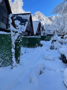 a yard covered in snow next to a house at River Bungalov in Rize