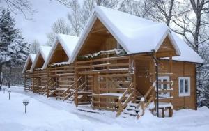 卡尔帕奇Wilczy Wodospad的屋顶上有雪的小木屋